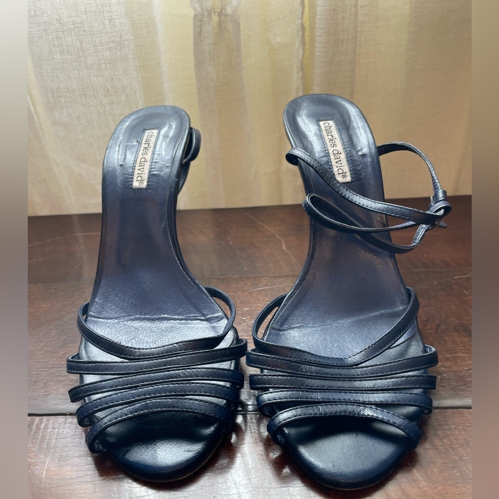 Charles David strappy sandals.